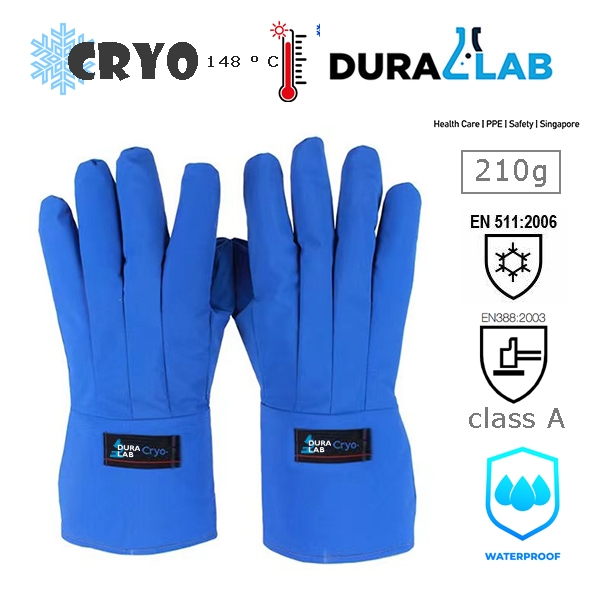DURALAB CRYOGENIC  Glove 38cm Blue